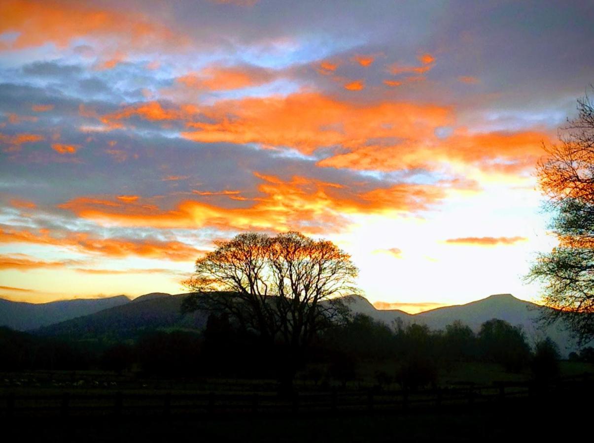 The Lodge Brecon B&B エクステリア 写真
